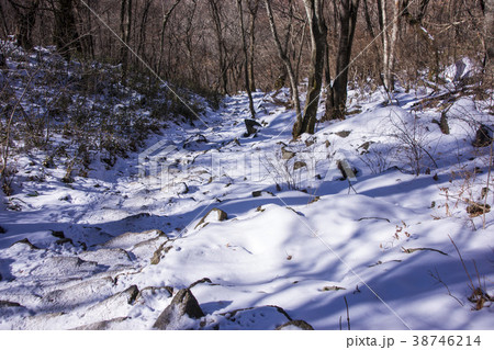 韓国 風景 季節 38746214