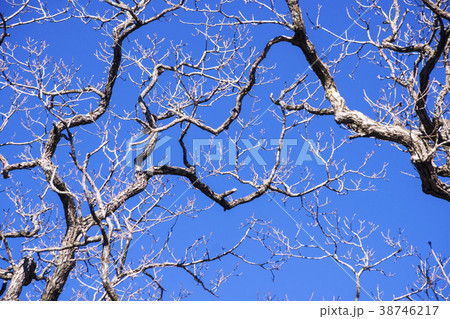 智異山 冬 咸陽郡 38746217