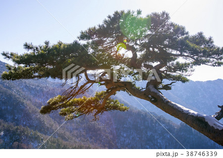 智異山 咸陽郡 国立公園 38746339