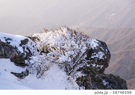 智異山 咸陽郡 慶南 38746398