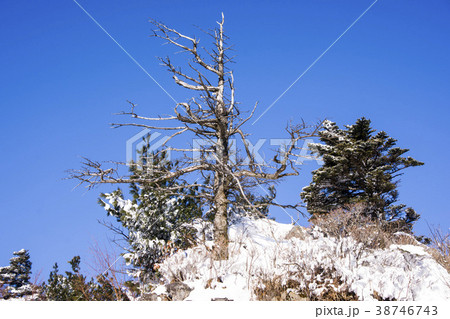 智異山 山清郡 慶南 38746743