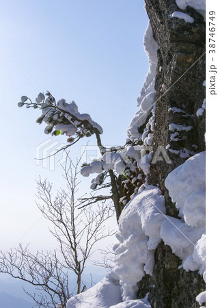 智異山 山清郡 慶南 38746749