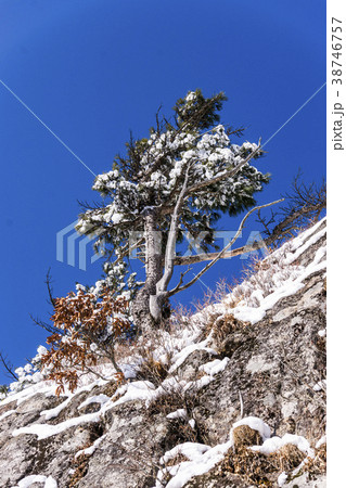 智異山 山清郡 冬 38746757