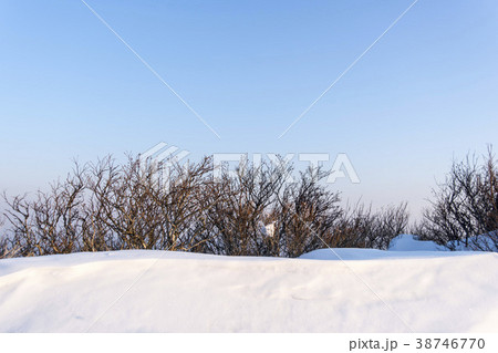 智異山 慶南 冬 38746770