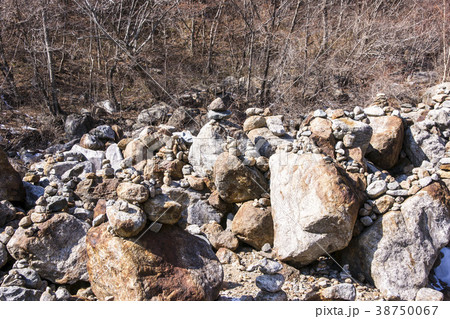 智異山 山清郡 慶南 38750067