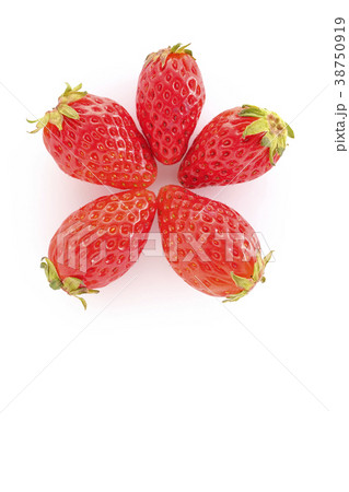 いちごで花を作る 38750919