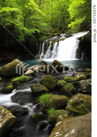 蓼科大滝 蓼科大滝 38750976