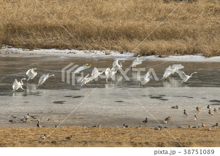 鉄原郡 江原道 自然 38751089