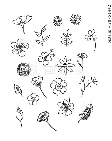 floral in doodle style. Black and white colors.  38751442