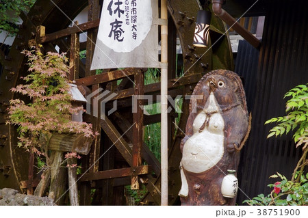 秋の深大寺 38751900