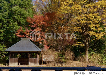秋の深大寺 38752257