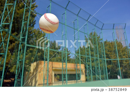 ボールとバックネット 38752849