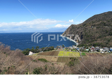 煌めきの丘 煌めきの丘 38753078