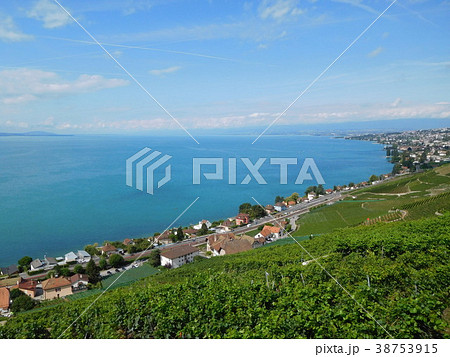 レマン湖とラヴォーのぶどう畑 38753915