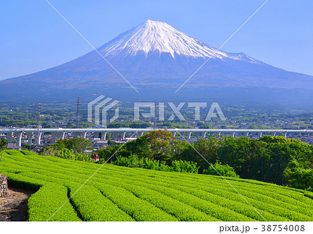 岩本山からの春の風景-6759 38754008