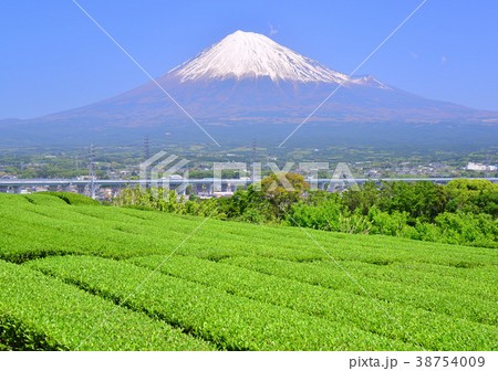 岩本山からの春の風景-6760 38754009