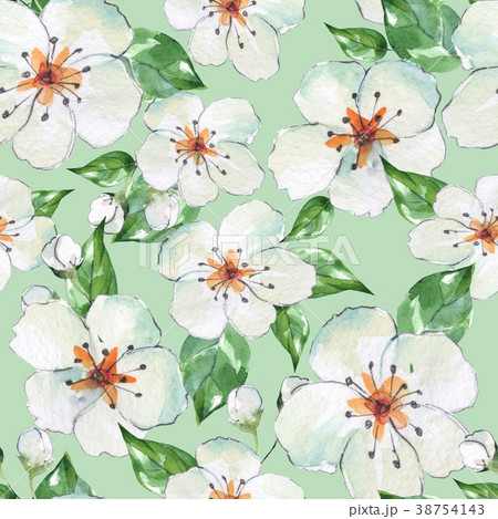 Floral seamless pattern 4. Blooming apple tree  38754143