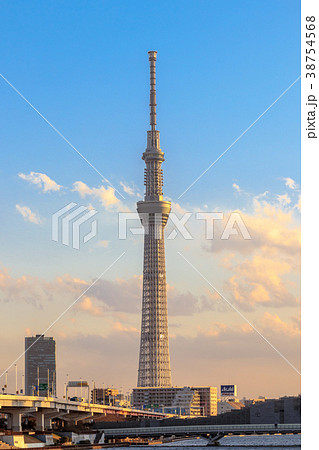 夕日を浴びてオレンジ色に染まる東京スカイツリーの写真素材