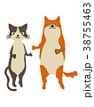 犬と猫1 38755463
