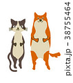 犬と猫2 38755464