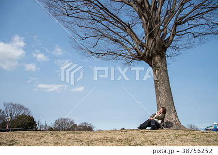 木の下でお昼寝 38756252