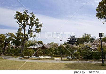 愛知県　西尾市歴史公園 38758186
