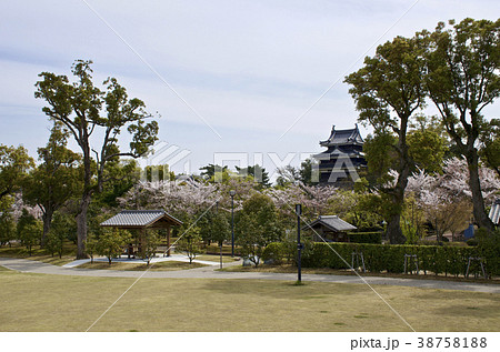愛知県 西尾市歴史公園 愛知県 西尾市歴史公園 38758188