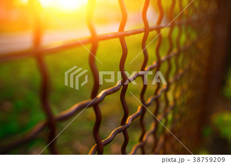 fence with metal grid in perspective 38759209