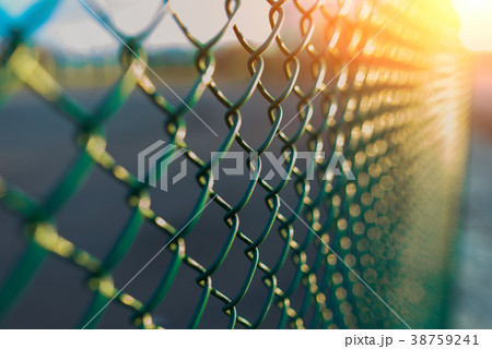 fence with metal grid in perspective 38759241