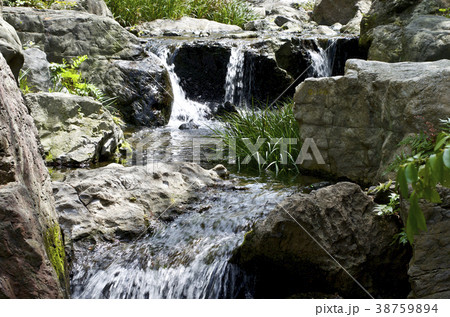 名古屋市　4月の白鳥庭園　雄滝 38759894