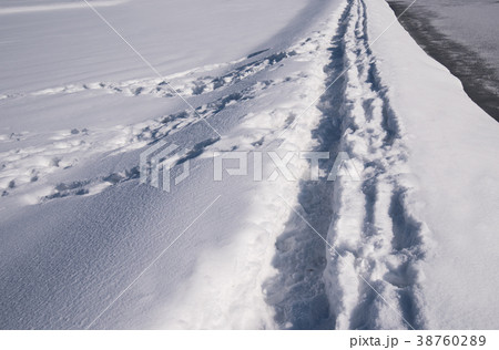 雪の中に続く踏み跡の道 雪の中に続く踏み跡の道 38760289