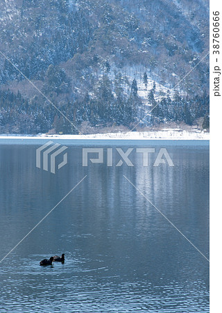 雪景色の余呉湖 38760666