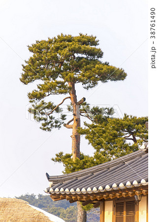 ウェアム民俗村 牙山市 忠南 38761490