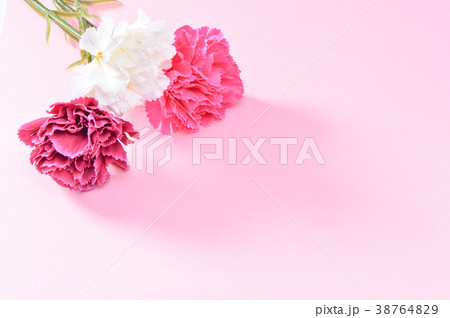 母の日 マザーズデー マザーズデイ 38764829