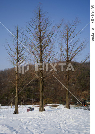 抱川市 京畿道 キョンギド 38765059