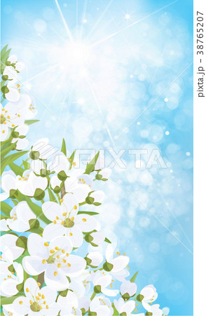 Vector blossoming spring background. Vector blossoming spring background. 38765207