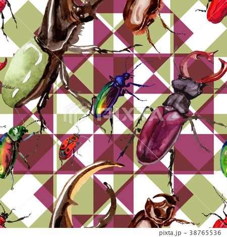 Exotic beetles wild insect pattern in a watercolor 38765536