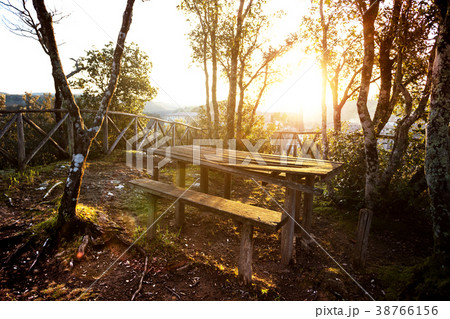 place to relax in the woods 38766156