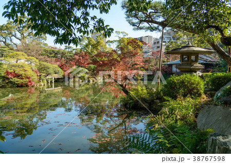 兵庫県神戸市相楽園の紅葉の写真素材