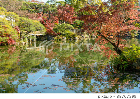 兵庫県神戸市相楽園の紅葉 兵庫県神戸市相楽園の紅葉 38767599