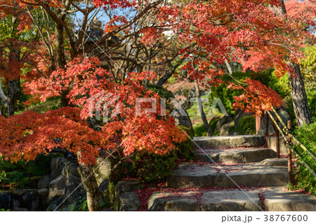 兵庫県神戸市相楽園の紅葉の写真素材