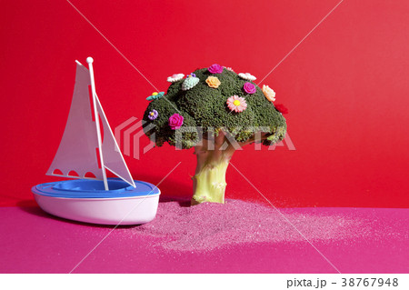 pink red broccoli flowers and toy boat pink red broccoli flowers and toy boat 38767948