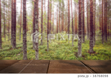 Nature blurred background 38768098