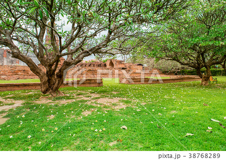 Formal Garden,Thailand,Buddhism, Temple - Building Formal Garden,Thailand,Buddhism, Temple - Building 38768289