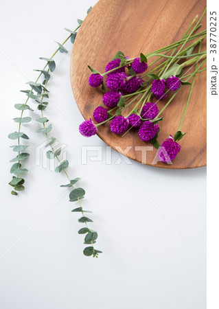 皿 食器 花 38770225