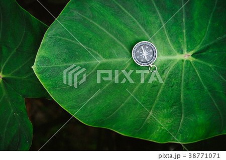 Orientation concept - Analogical Compass laying on 38771071