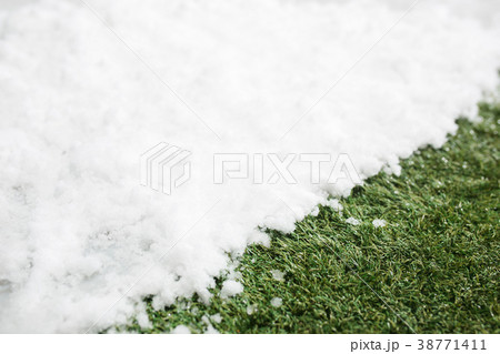 Meeting snow on green grass close up - between Meeting snow on green grass close up - between 38771411