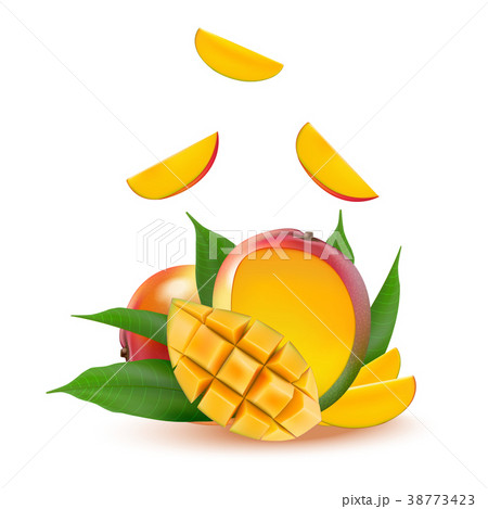Mango fruit for fresh juice, jam, yogurt, pulp. Mango fruit for fresh juice, jam, yogurt, pulp. 38773423