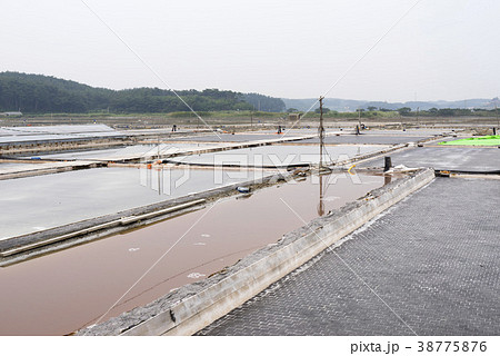 塩田 韓国 風景 38775876
