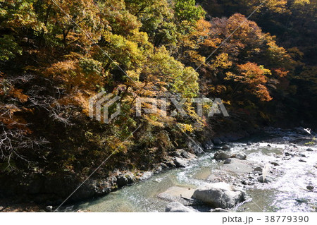 秋の芦川渓谷 38779390